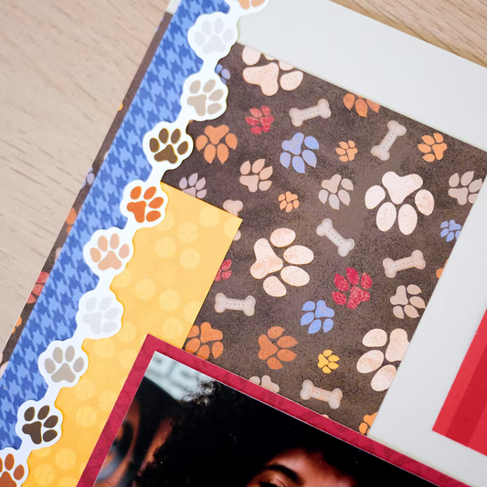 Go Fetch Designer Paper Pack