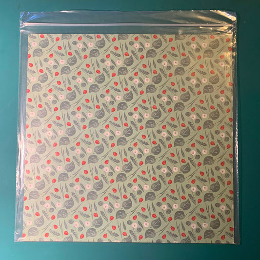 Lady Bugs Designer Paper Pack