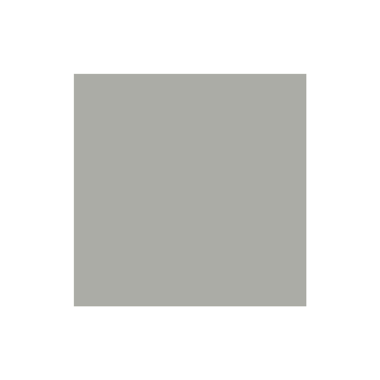 Lichen Solid Cardstock