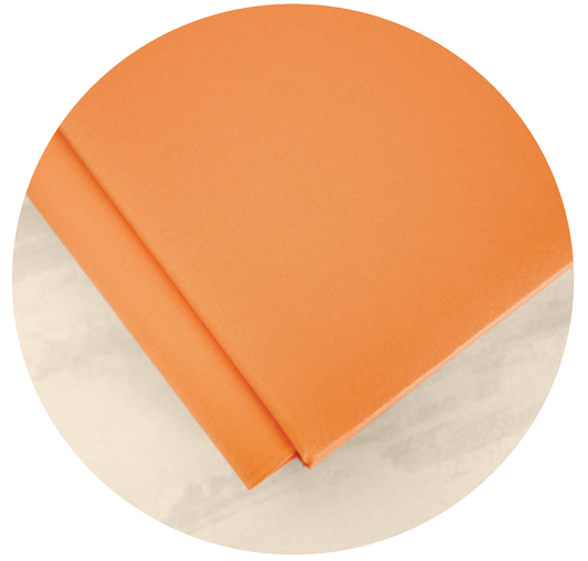 8x8 Orange Album Cover