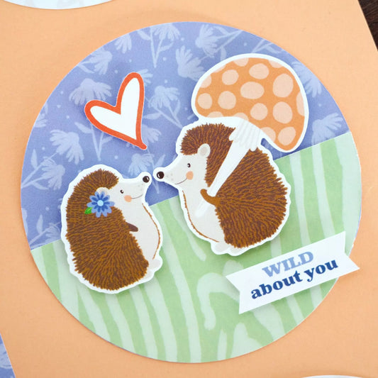 NSD 2024 Project Recipe™ Kit