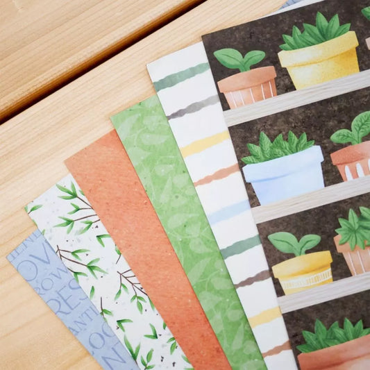 NSD 2025 Accessory Paper Pack