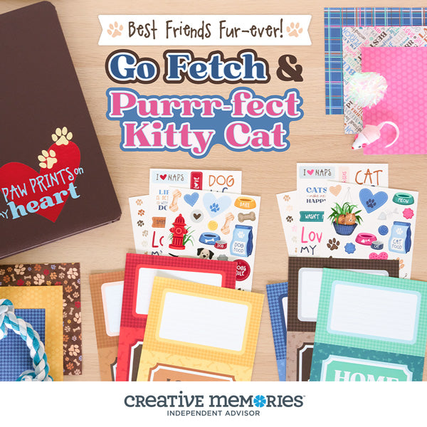 Go Fetch & Purr-fect Kitty Cat