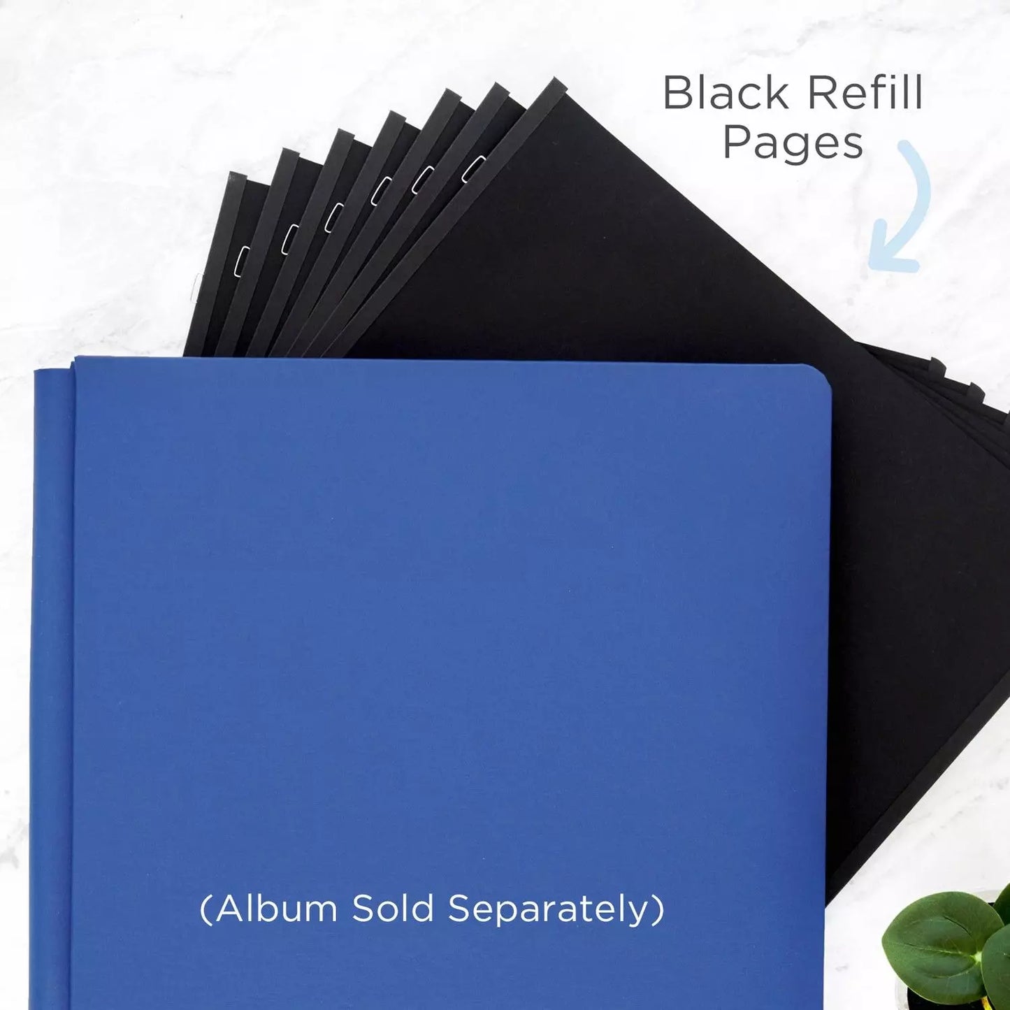 Black 12x12 Plain Pages and Protectors (16/pk)