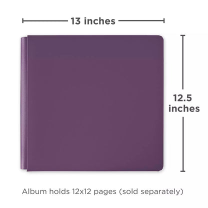 12x12 Eggplant Album Cover