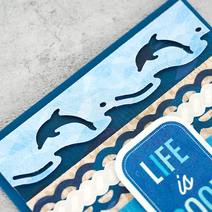 Dolphins BMC