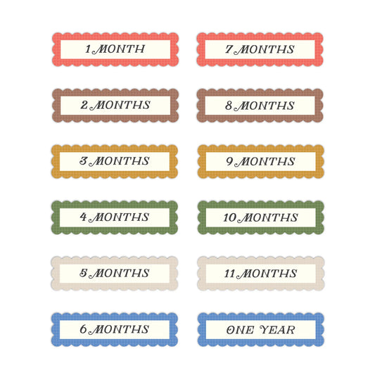 Bundle of Joy Monthly Title Embellishments (12/pk)