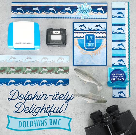 Dolphins BMC