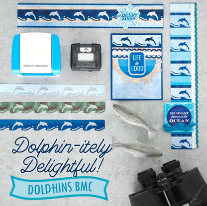 Dolphins BMC
