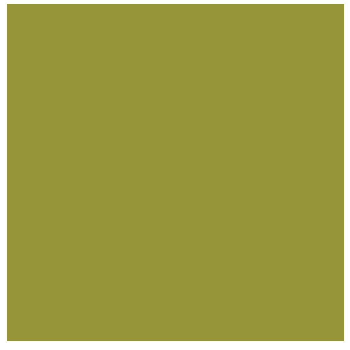 Kiwi Solid Cardstock