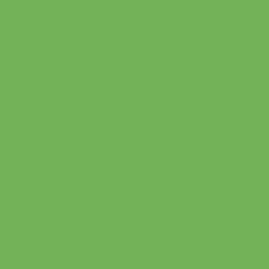 Leaf Green Solid Cardstock