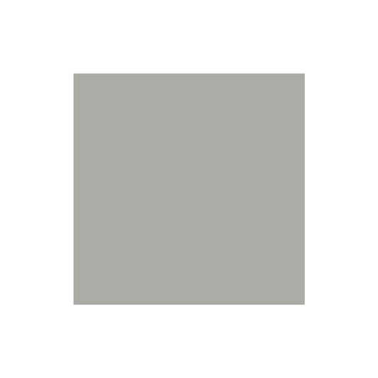 Lichen Solid Cardstock