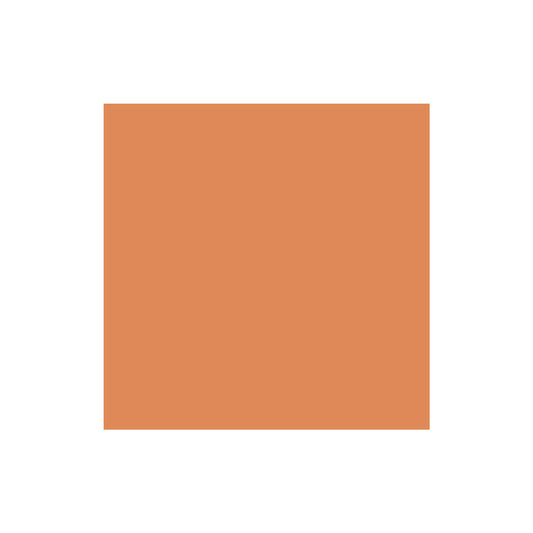 Paprika Solid Cardstock
