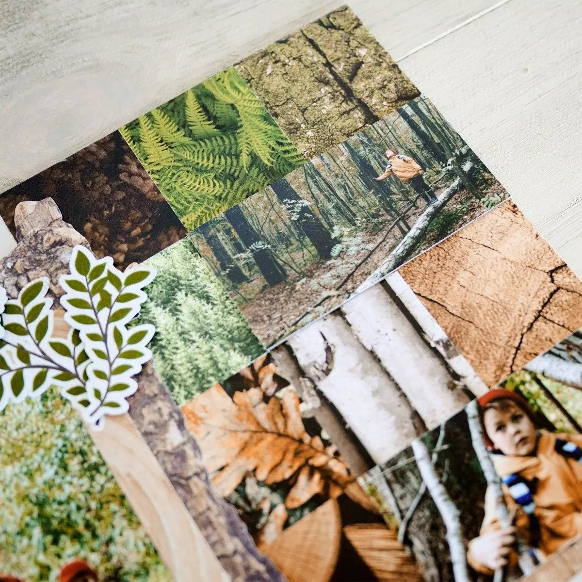 Deeper in the Woods Texture Designer Paper
