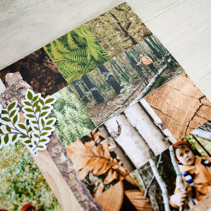 Deeper in the Woods Texture Designer Paper