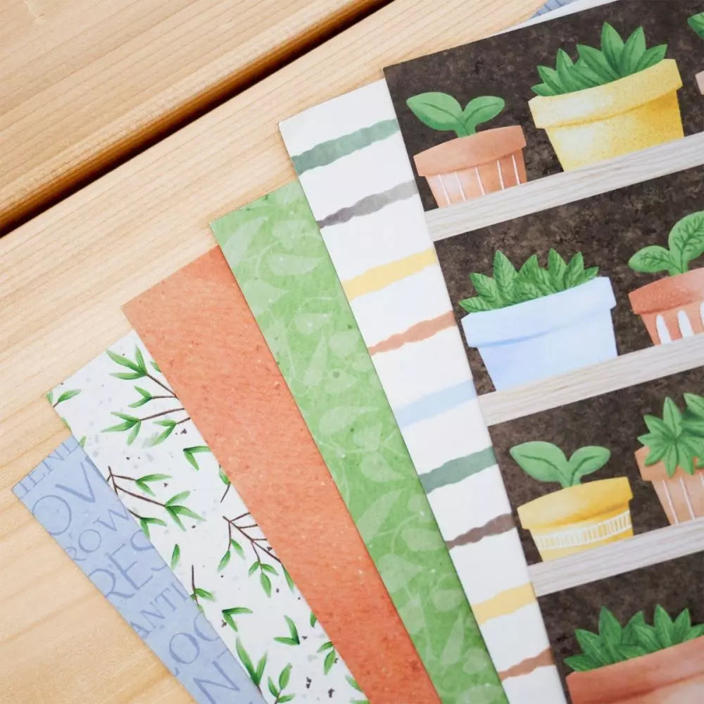 NSD 2025 Accessory Paper Pack