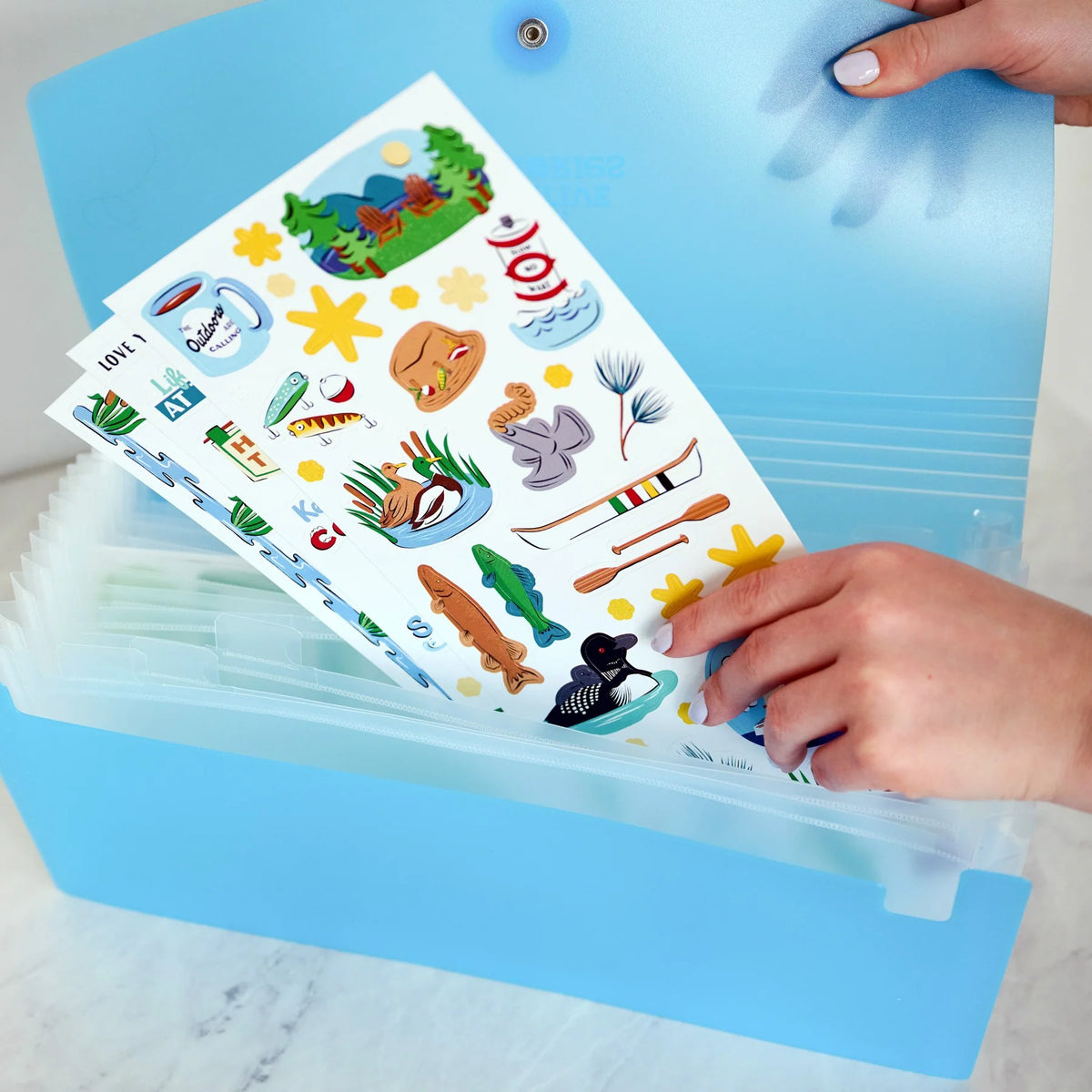 Blue Sticker File Mate