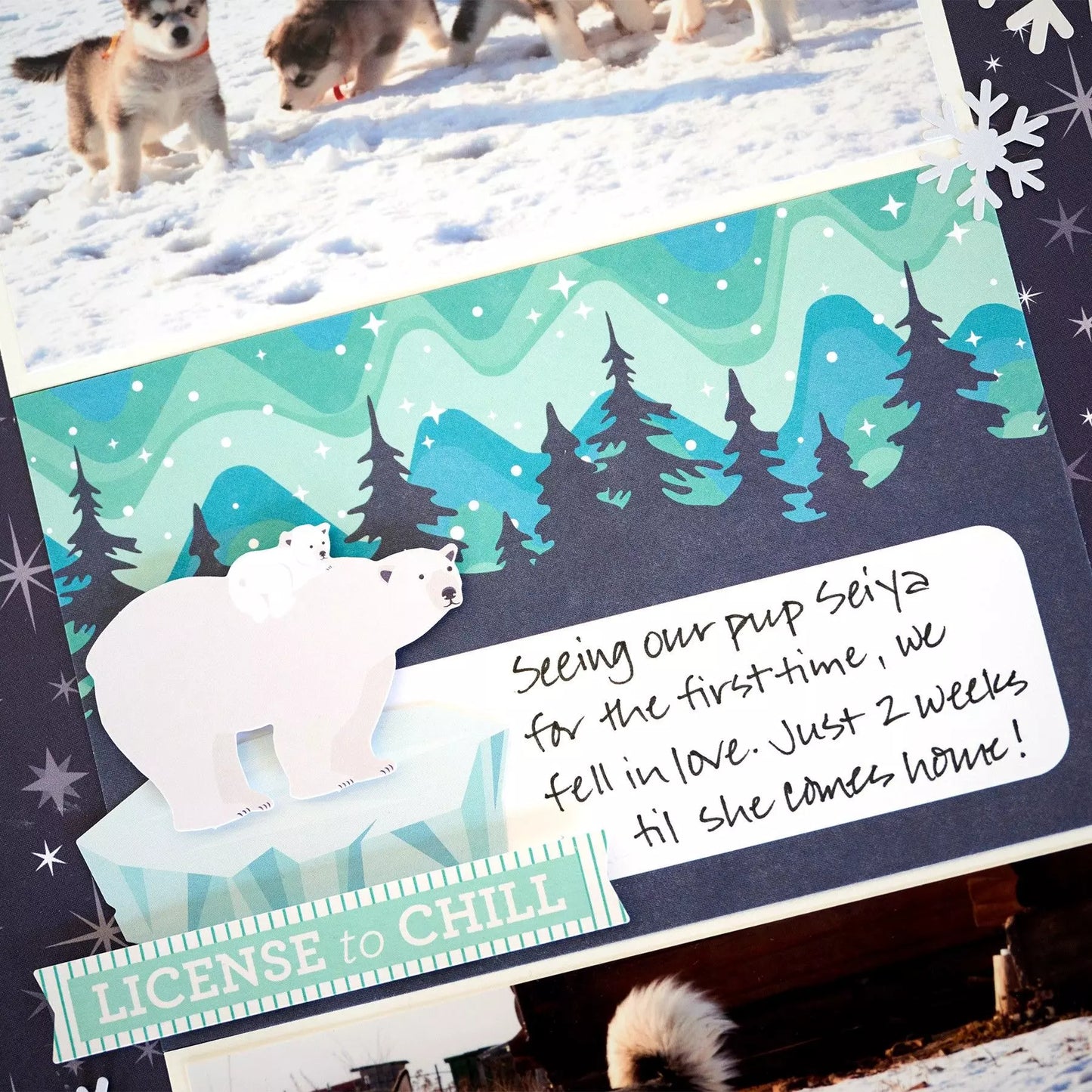Polar Lights Variety Mat Pack